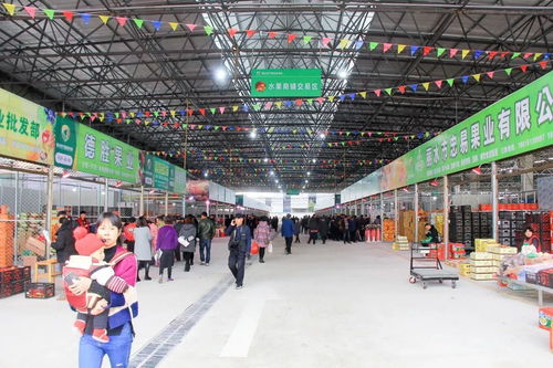 農(nóng)產(chǎn)品批發(fā)市場開業(yè),麗水又添一個(gè)超級 菜籃子