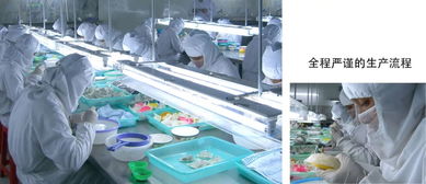 天悅燕 印尼019 溯源碼燕窩工廠直招代理批發商加盟商