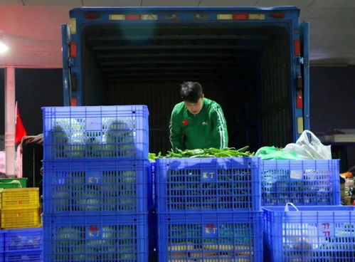 菜丁 樂昌農產品交易中心,大型農副產品批發市場火爆招商